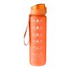 RPET-Trinkflasche (1000 ml) Brinley Orange