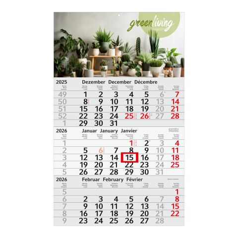 3-Monatskalender Budget 3 Recycling (Einblatt) Hellgrau-rot | 4C-Quality Digital | Rot