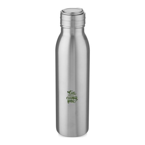 Nachhaltiger Werbeartikel Harper 700 ml RCS-zertifizierte Sportflasche aus Edelstahl mit Metallschlaufe – silber – mit Logo bedruckt