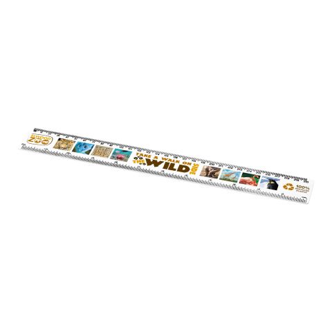 Refari 30 cm Lineal aus recyceltem Kunststoff