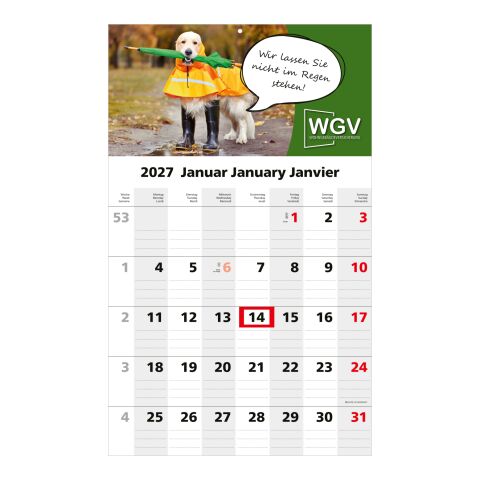 1-Monatskalender Einblatt Solo 1