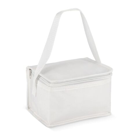 R-PET 6 Dosen-Kühltasche Non Woven 20x 13 x 12,5cm 75g/m²