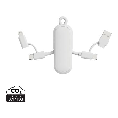 Urban Vitamin Dublin 100W 4-in-1-Kabel am Schlüsselanhänger