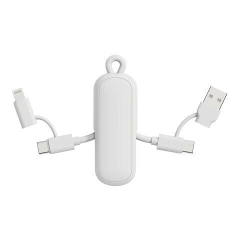 Urban Vitamin Dublin 100W 4-in-1-Kabel am Schlüsselanhänger