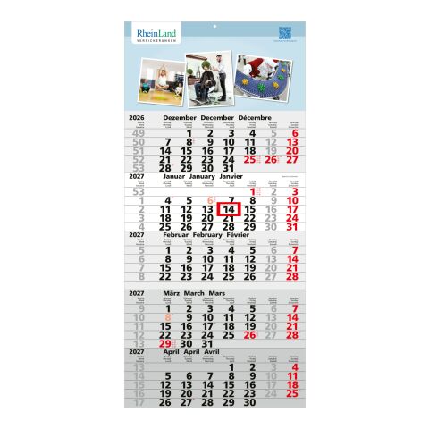 5-Monatskalender Einblatt Quintus 5 EXPRESS Monate gleich groß Hellgrau | 300 × 640 mm | ohne Werbeanbringung