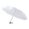 21.5" Alex Automatikschirm Standard | weiß | ohne Werbeanbringung | Nicht verfügbar | Nicht verfügbar | Nicht verfügbar