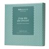 Wellmark Tender Affectiont 50 ml Raumspray und 50 ml Diffusor Set Green flash