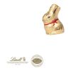 Schokokarte-Hase Mit Lindt Goldhase bunt | ohne Werbeanbringung