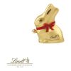 Lindt Goldhase in Werbekartonage, 50 g bunt | ohne Werbeanbringung
