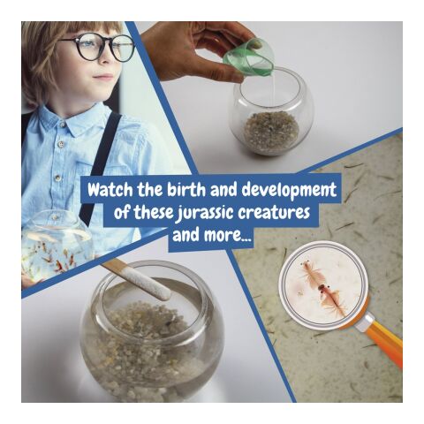 Jurassic Pets Kit I. Lernspiel für Kinder Weiss | ohne Werbeanbringung | Nicht verfügbar | Nicht verfügbar | Nicht verfügbar