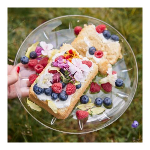 Sagaform Picknick-Tellerchen 4er-Pack Transparent | ohne Werbeanbringung