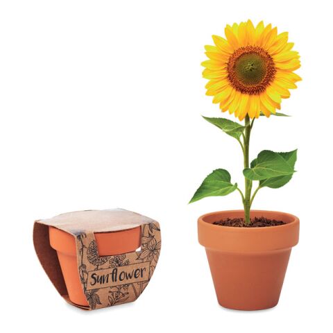 Terracotta-Topf Sonnenblume holzfarben | ohne Werbeanbringung | Nicht verfügbar | Nicht verfügbar | Nicht verfügbar