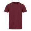 Balfour Kurzärmeliges T-Shirt aus 200 g/m² Bio Baumwolle (OCS), unisex Tiefes Burgunderrot | 4XS