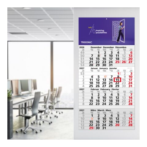 4-Monatskalender Einblatt Mega 4 A Schrift klassisch Hellgrau | 300 × 600 mm | ohne Werbeanbringung