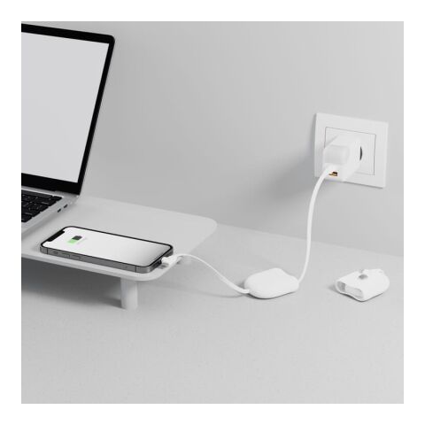 Xoopar ICE-R Einziehbares USB-C- und Lightning-Kabel 60 W 1 Meter Weiss