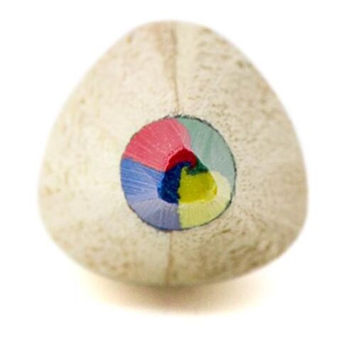 Mehrfarbiger Bleistift Braun | ohne Werbeanbringung | Nicht verfügbar | Nicht verfügbar