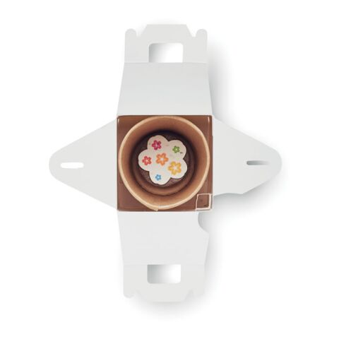 Saat-Set Kinder bunt | ohne Werbeanbringung | Nicht verfügbar | Nicht verfügbar | Nicht verfügbar