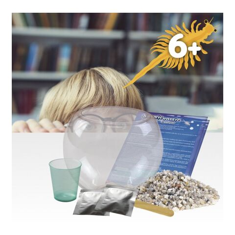 Jurassic Pets Kit I. Lernspiel für Kinder Weiss | ohne Werbeanbringung | Nicht verfügbar | Nicht verfügbar | Nicht verfügbar