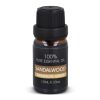 InSideOut Aroma-Hänger Sandelholzöl 10 ml Braun