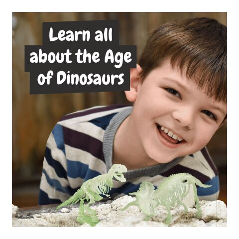 2 in 1 Fossil Excavation Kit I. Lernspiel für Kinder Weiss | ohne Werbeanbringung | Nicht verfügbar | Nicht verfügbar | Nicht verfügbar